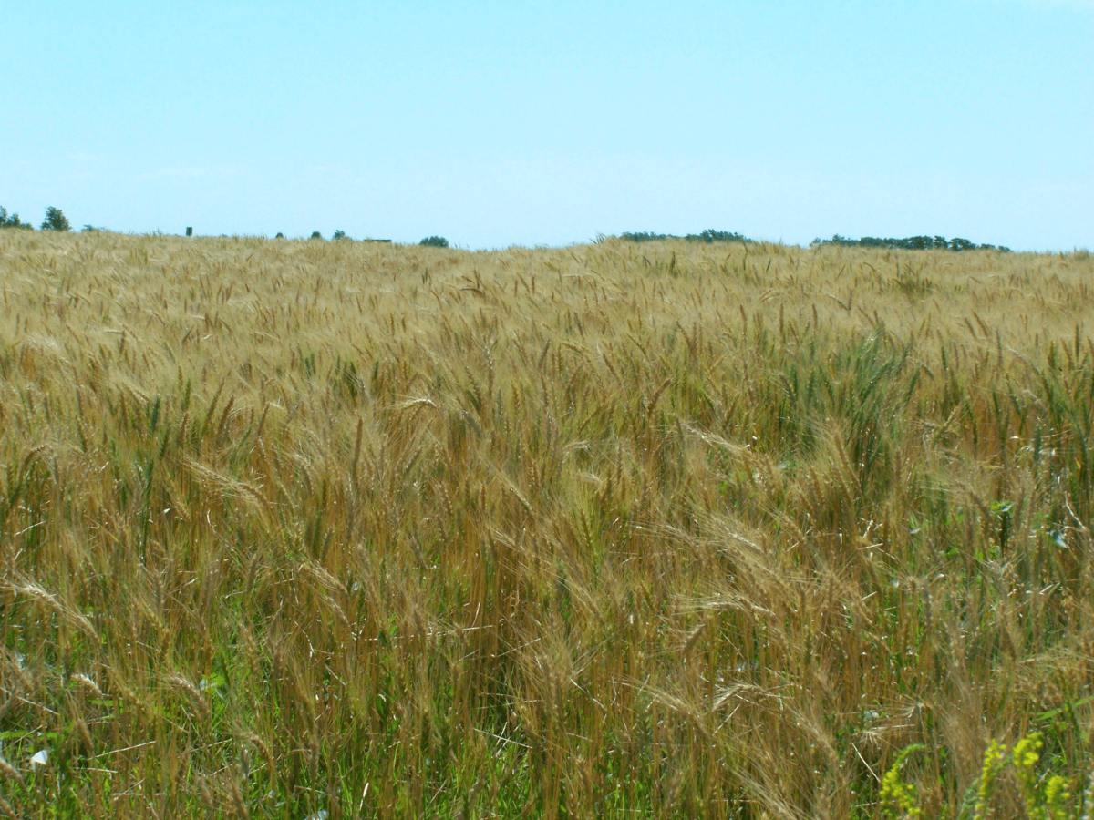 Echoes: Rural Road Trips&nbsp;Nebraska