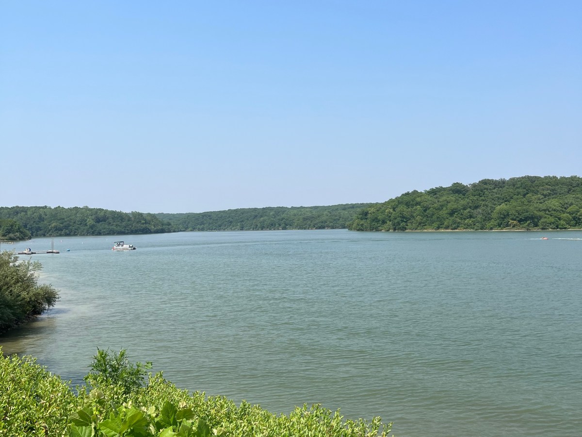 Wildlife Adventures: Rural Road Trips&nbsp;Missouri