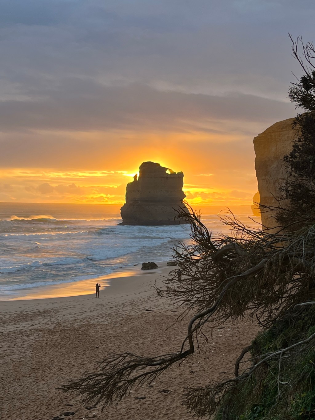 Nature’s Cathedral: Travel Goals&nbsp;Australia