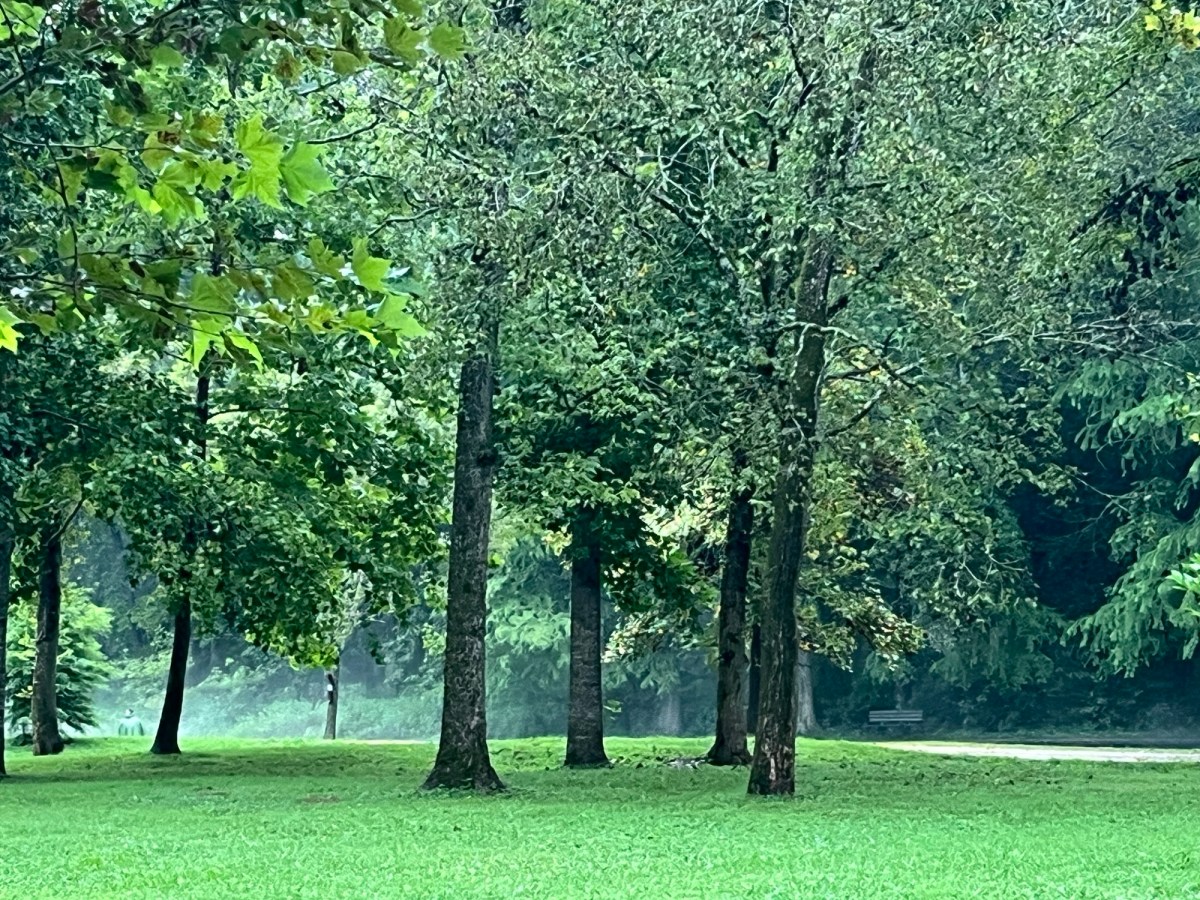 Stillness, Surgery, and&nbsp;Serenity