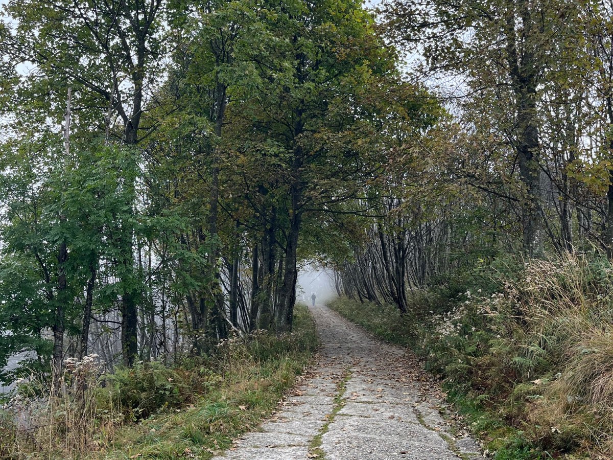 Mottarone, the Tiniest Alp: Travel Goals&nbsp;Italy