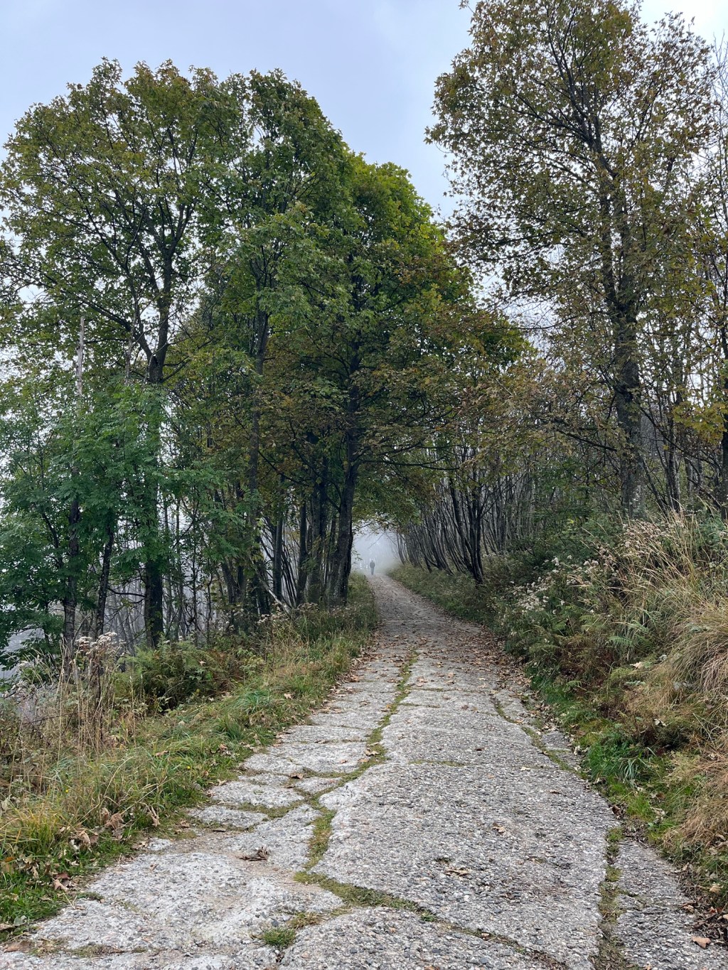 Mottarone, the Tiniest Alp: Travel Goals&nbsp;Italy