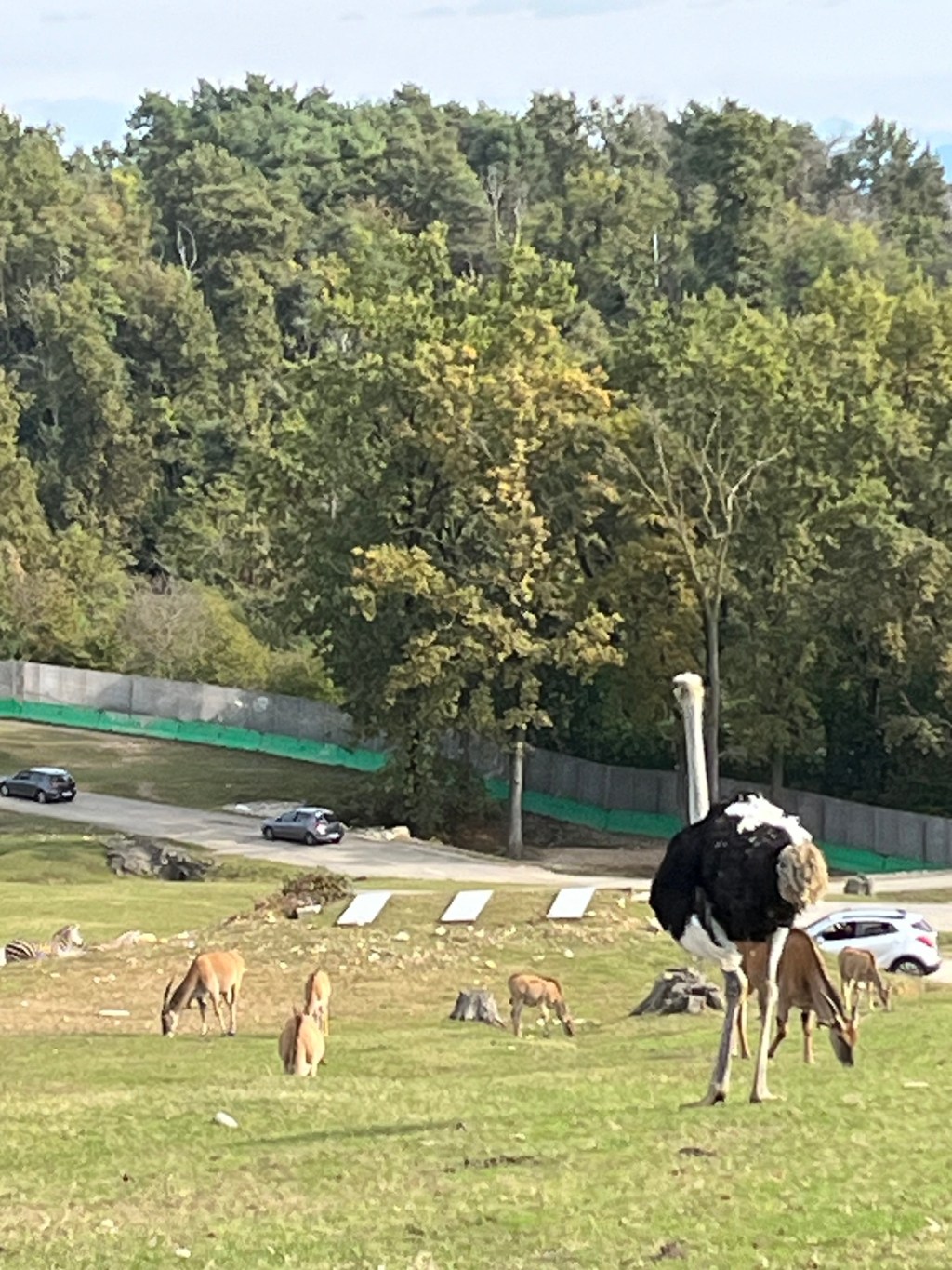 A Walk On the Wild Side: Travel Goals&nbsp;Italy