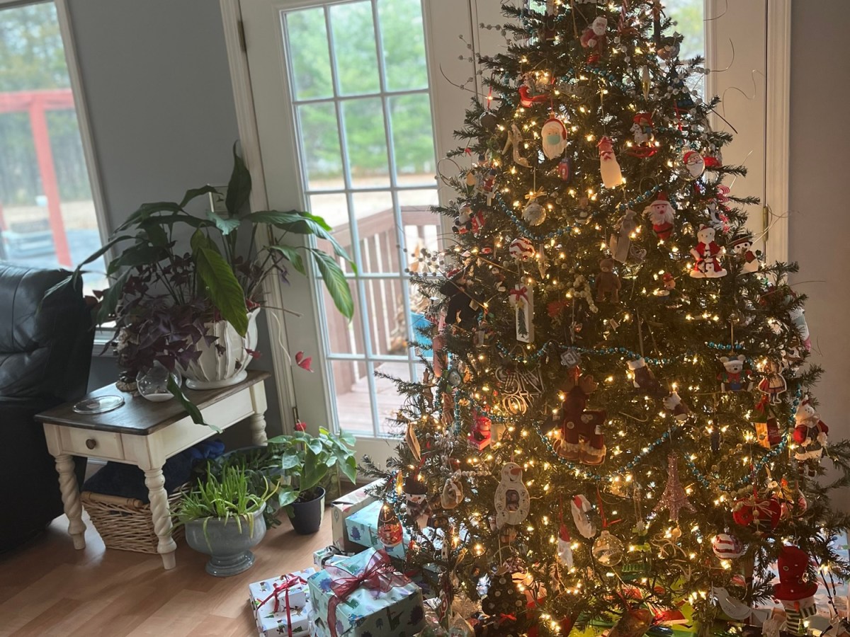 Another Christmas….