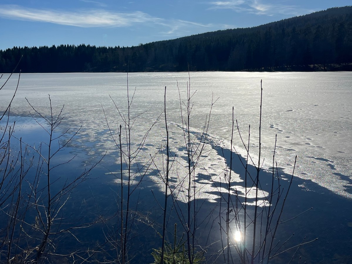 Forest Bathing: Travel Goals&nbsp;Norway