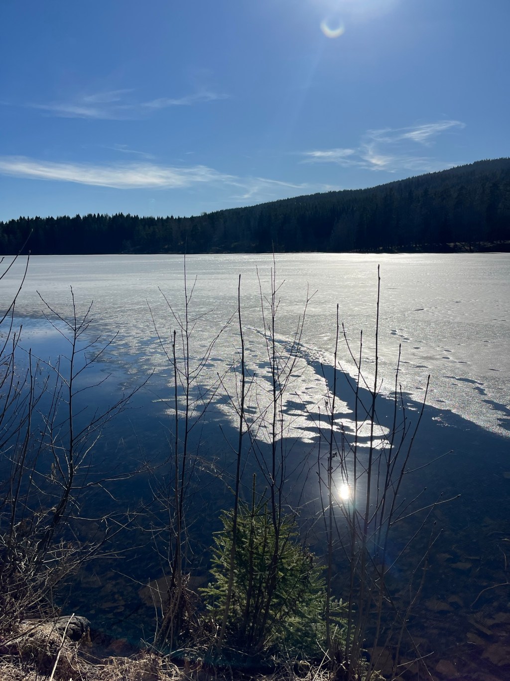 Forest Bathing: Travel Goals&nbsp;Norway