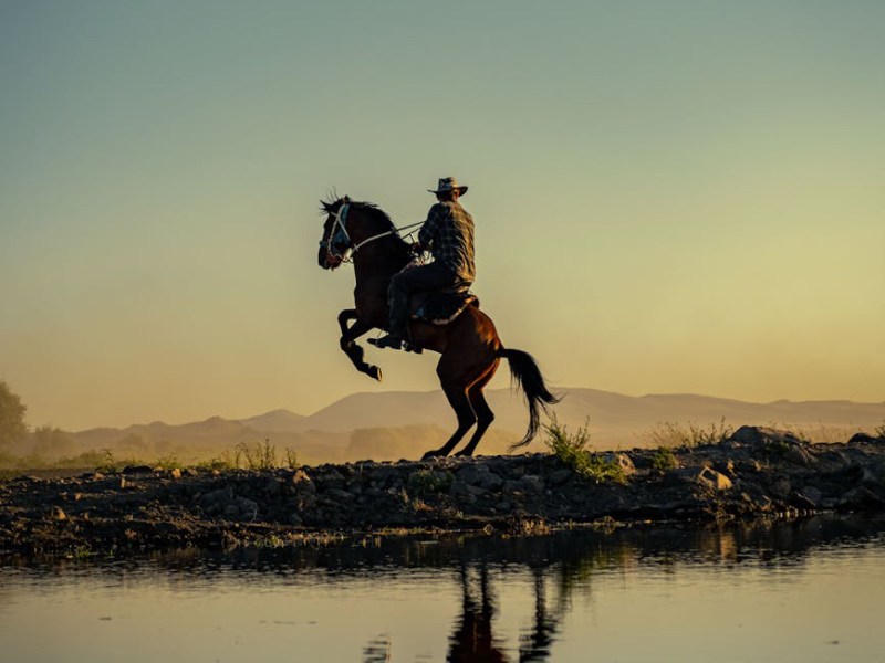 What I learned from TV&nbsp;Westerns