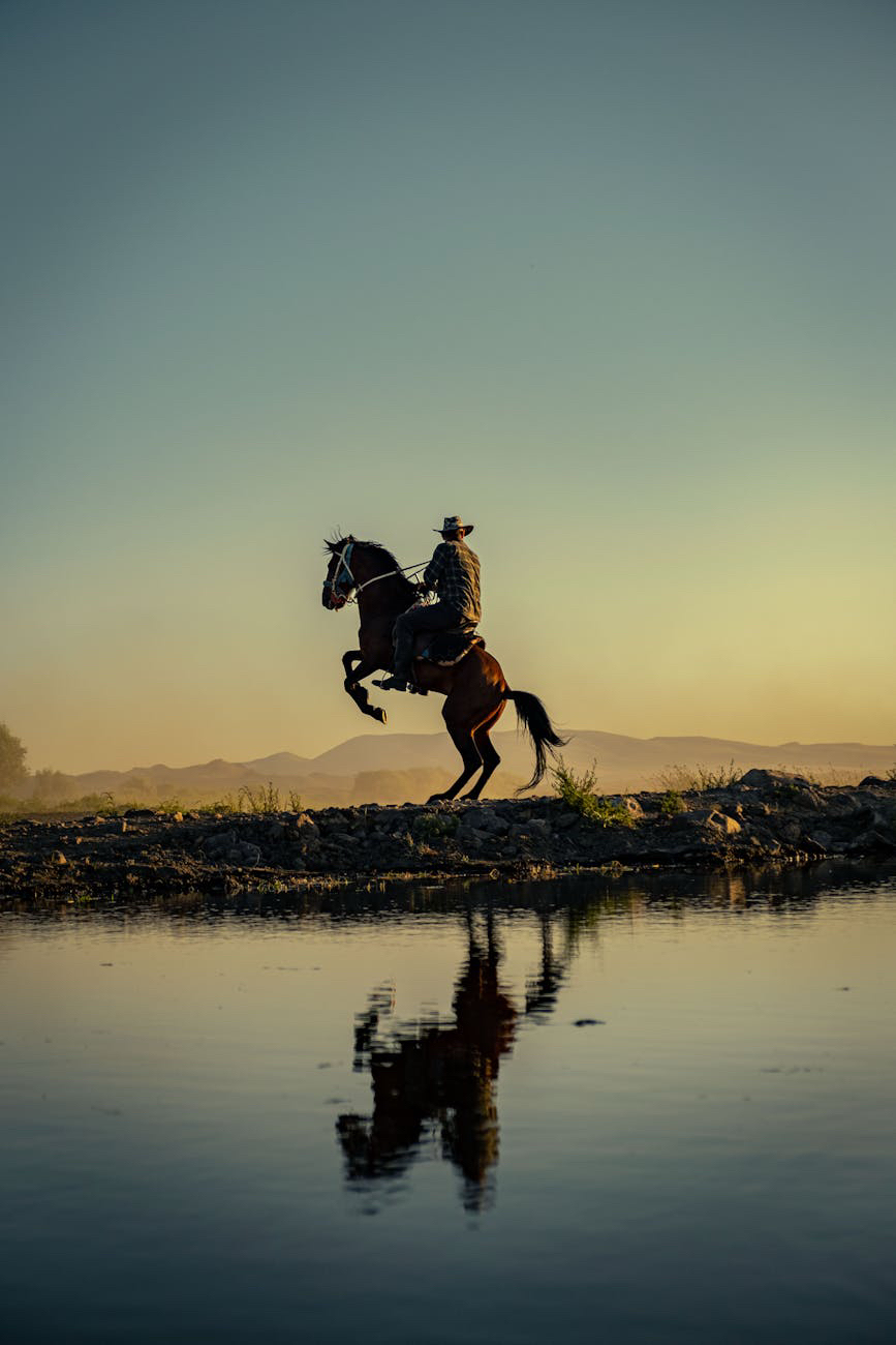 What I learned from TV&nbsp;Westerns