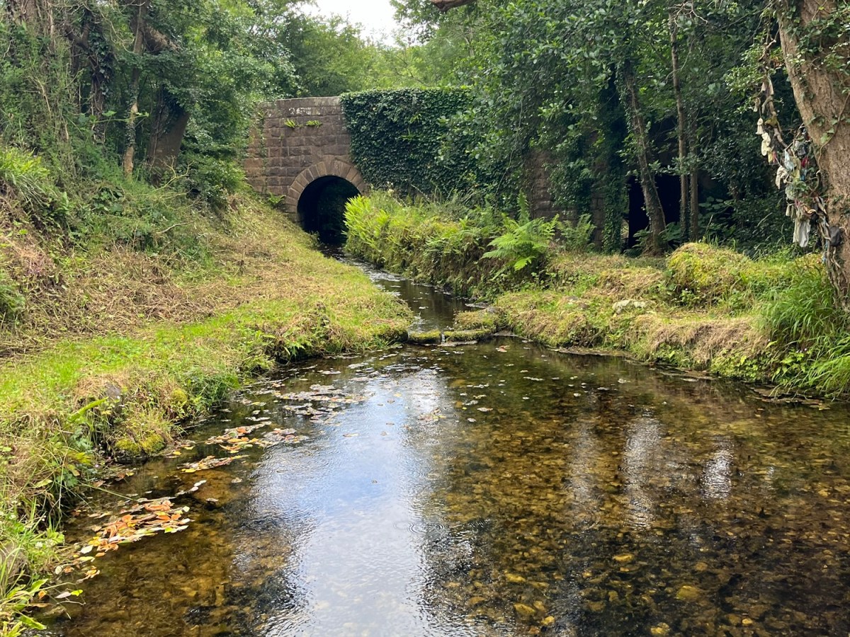 Mishap at the Holy Well: Travel Goals&nbsp;Ireland