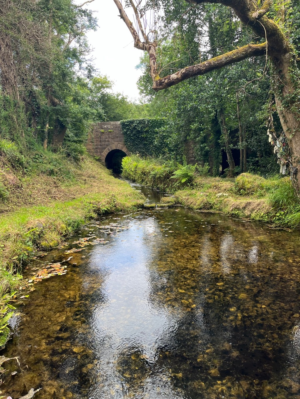 Mishap at the Holy Well: Travel Goals Ireland