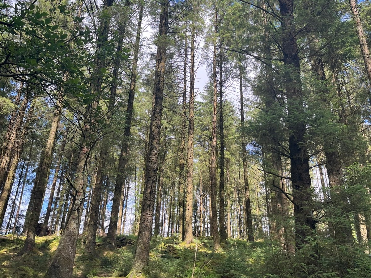 Country Roads: Travel Goals&nbsp;Ireland