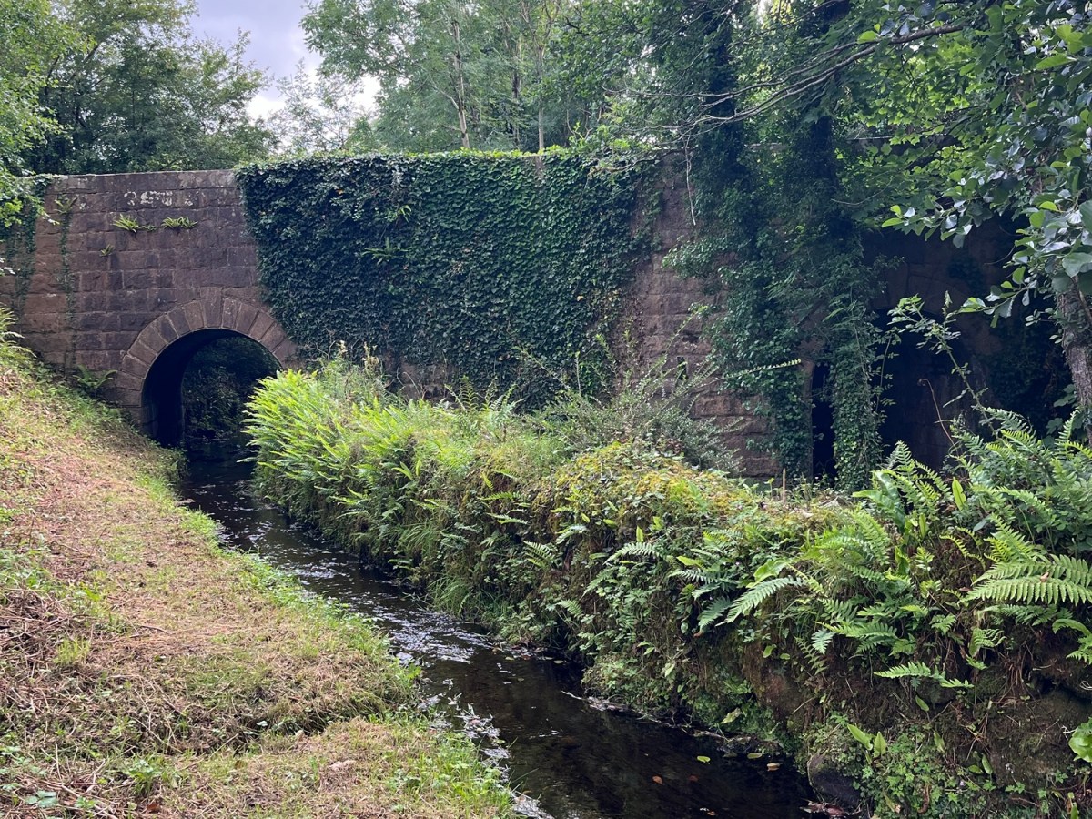 Return to the Holy Waters: Travel Goals&nbsp;Ireland