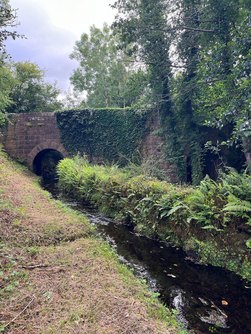 Return to the Holy Waters: Travel Goals&nbsp;Ireland