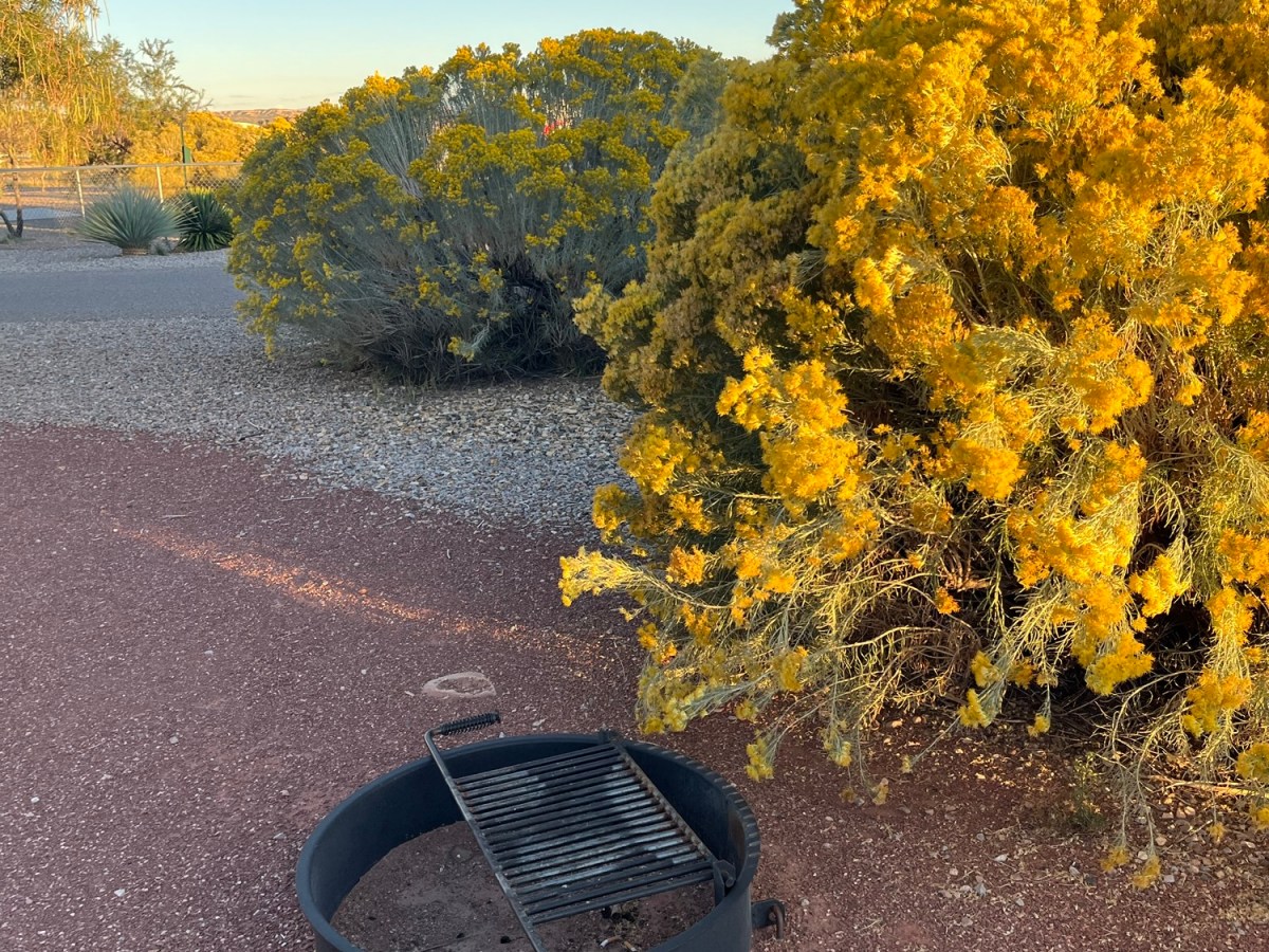 Indian Oasis: Rural Road Trip New&nbsp;Mexico