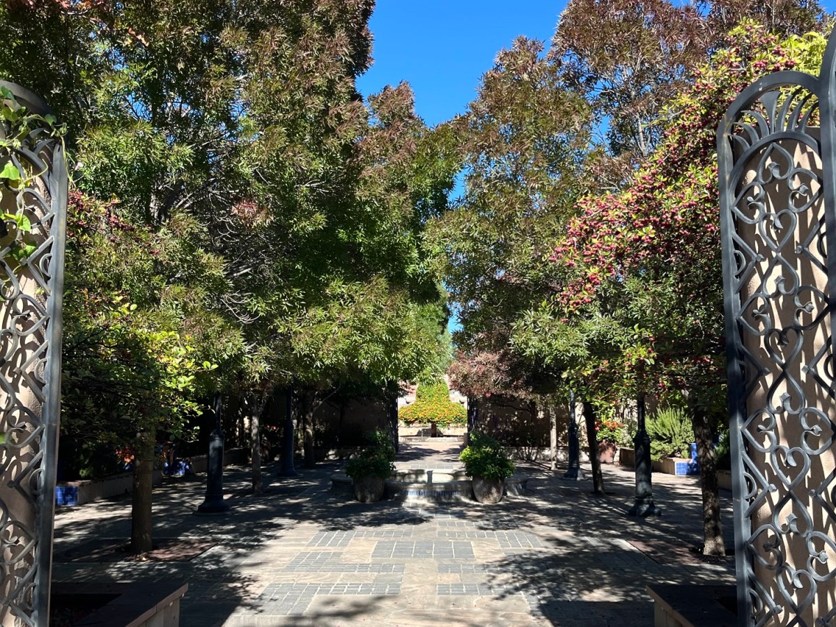 Albuquerque Botanical: Rural Road Trips New&nbsp;Mexico