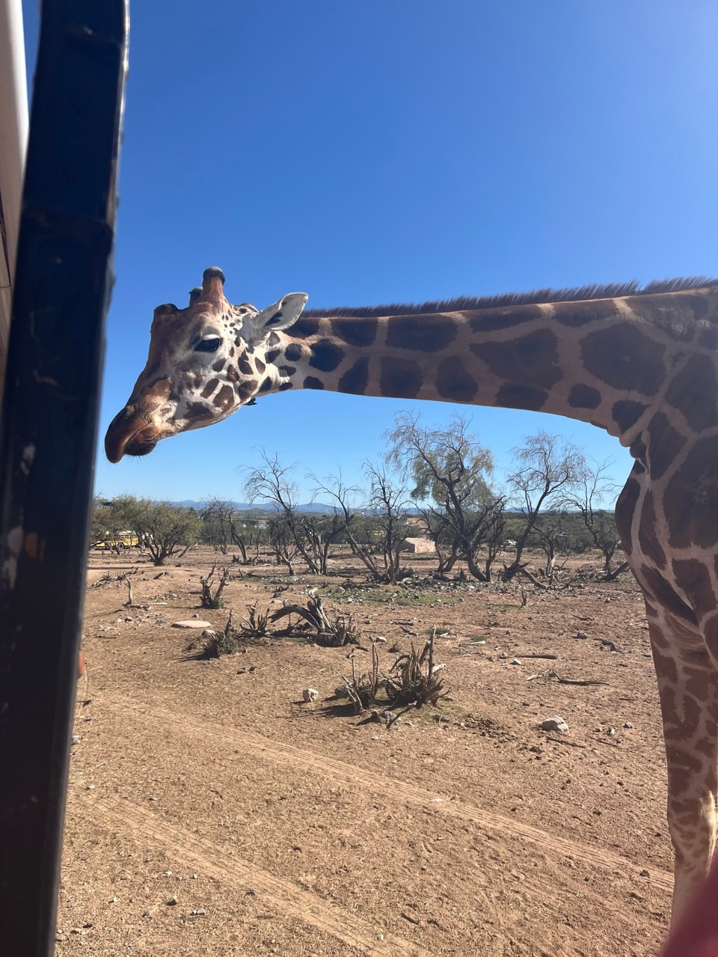 Safari In The USA: Rural Road Trip&nbsp;Arizona