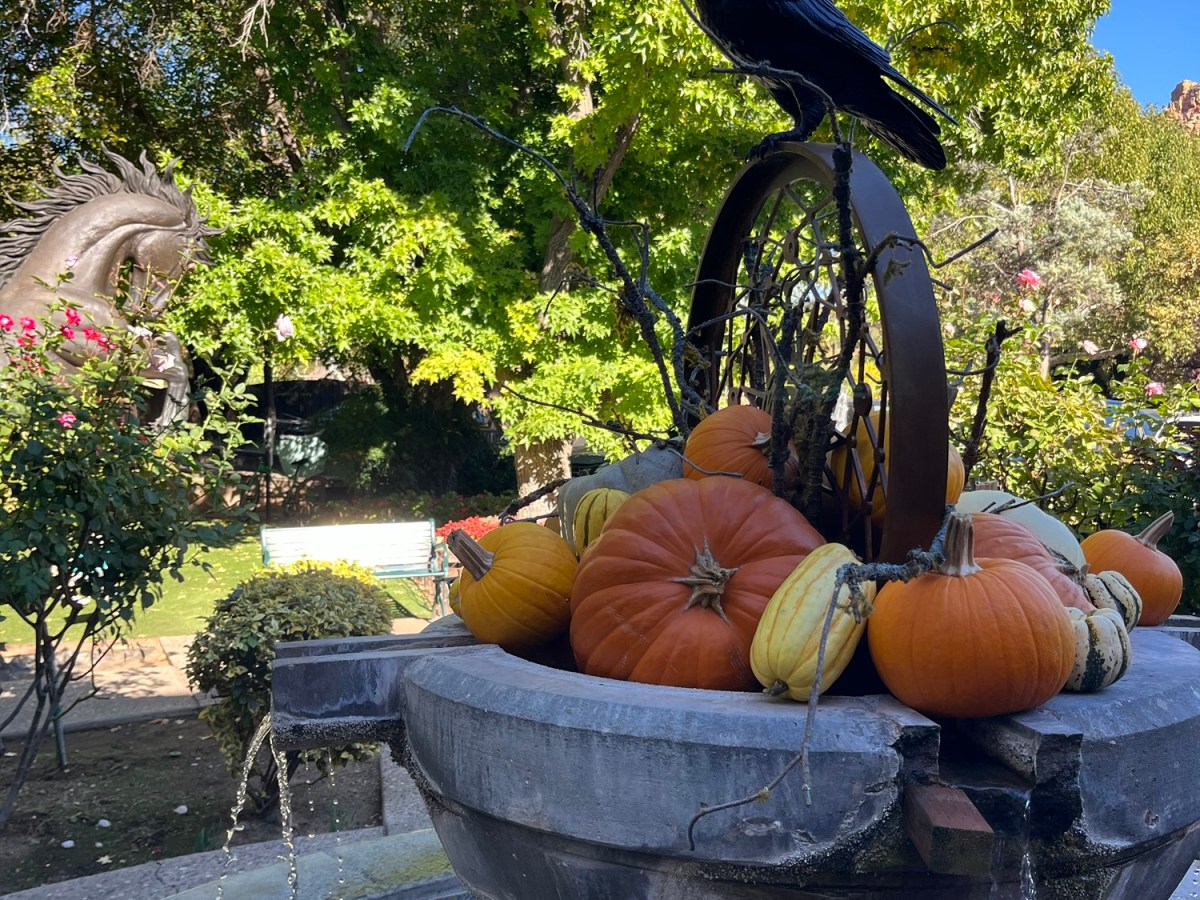 Tlaquepaque: Rural Road Trip&nbsp;Arizona