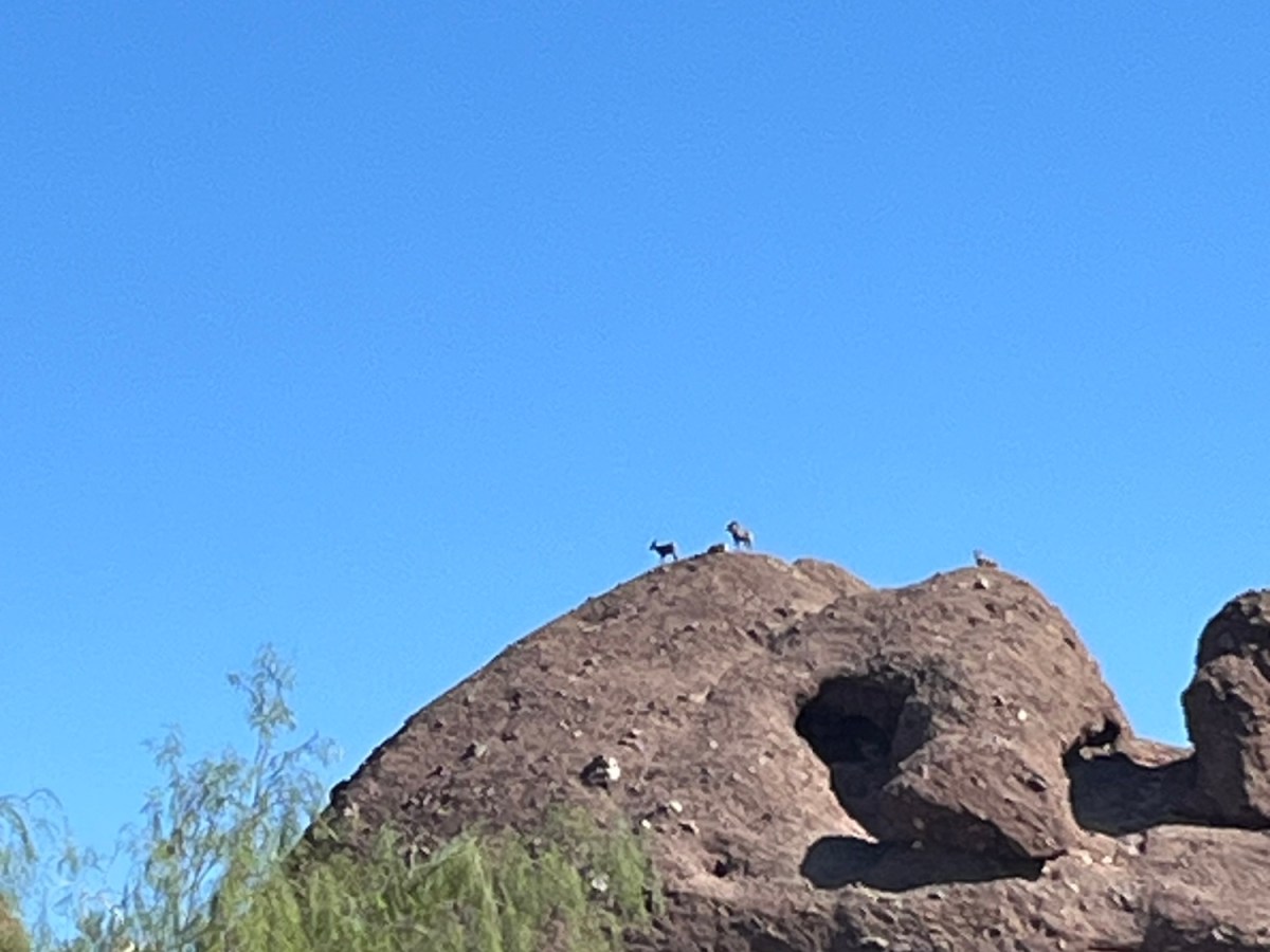 Phoenix Zoo: Rural Road Trips&nbsp;Arizona