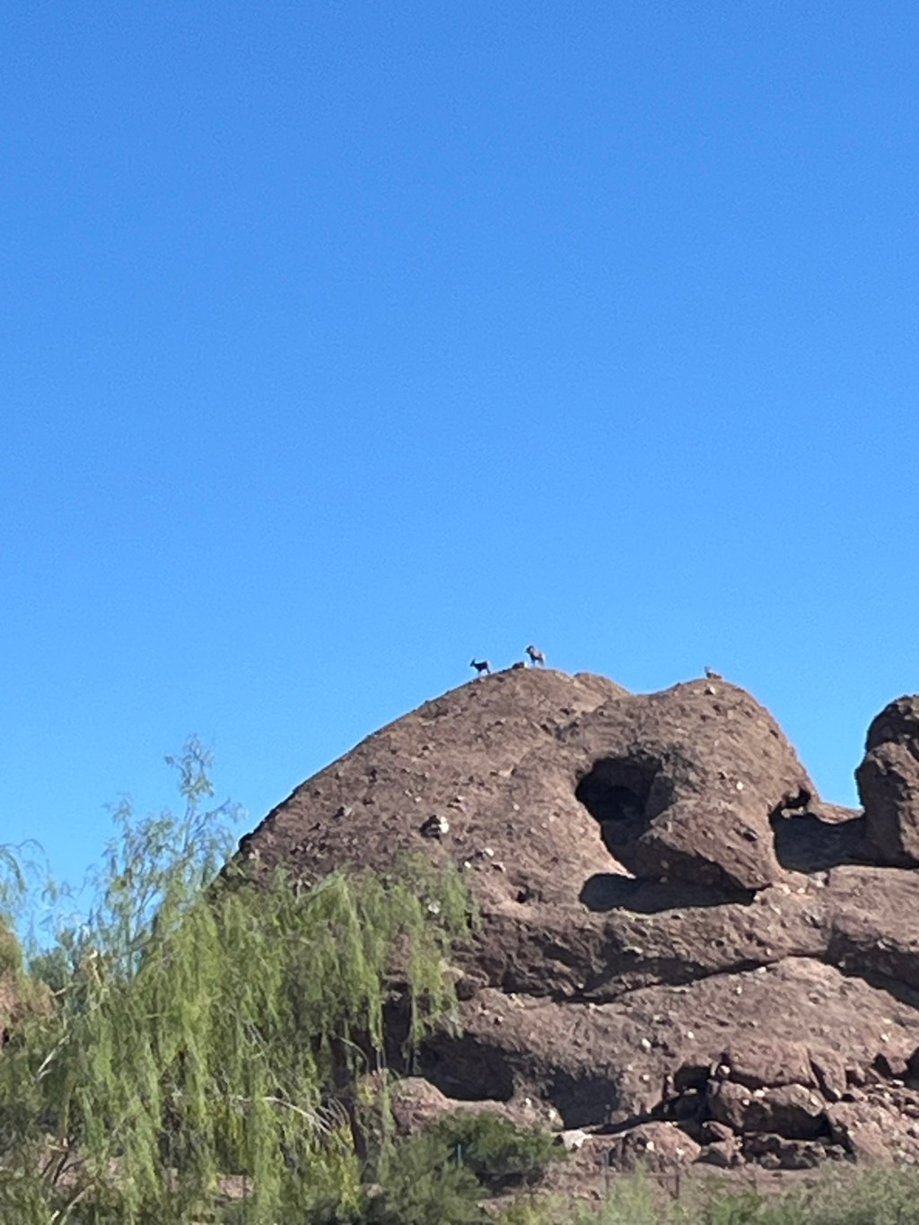 Phoenix Zoo: Rural Road Trips&nbsp;Arizona