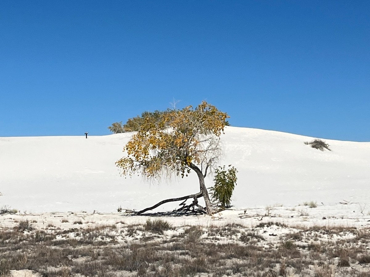 White Sands: Rural Road Trips New&nbsp;Mexico