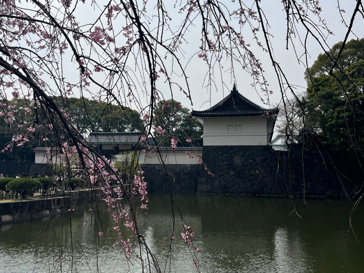 Imperial Palace: Travel Goals&nbsp;Japan