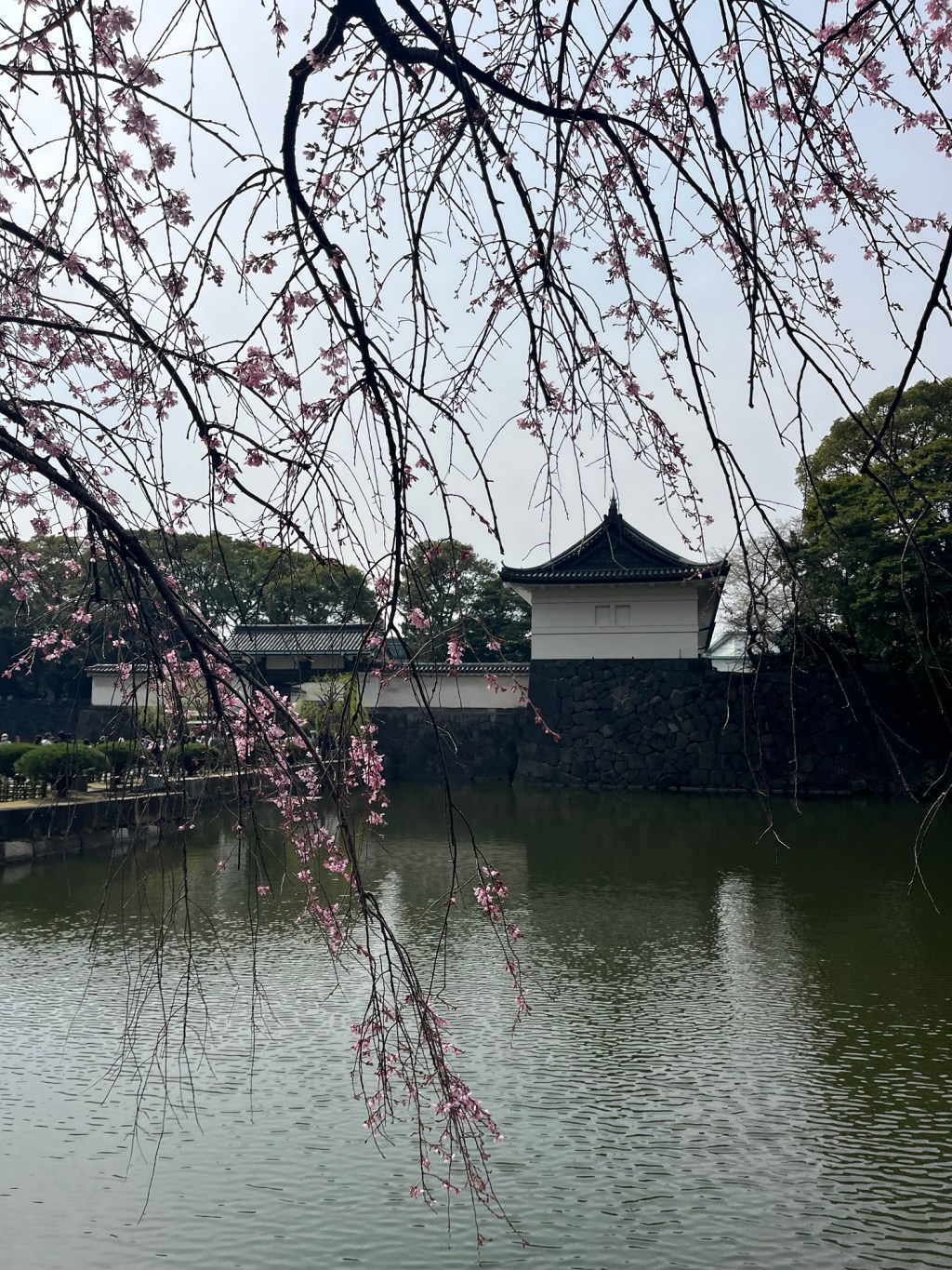 Imperial Palace: Travel Goals Japan