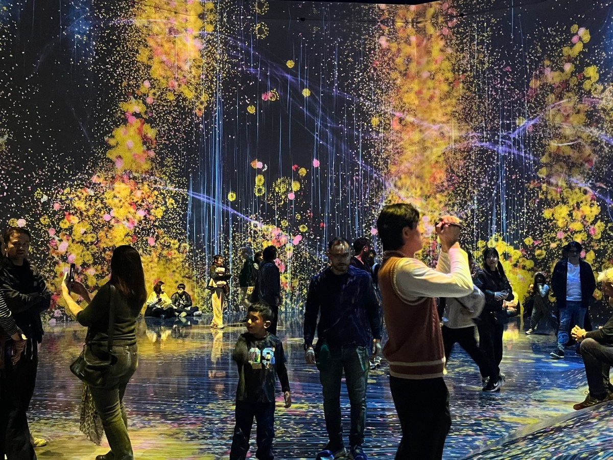 TeamLab: Travel Goals&nbsp;Japan
