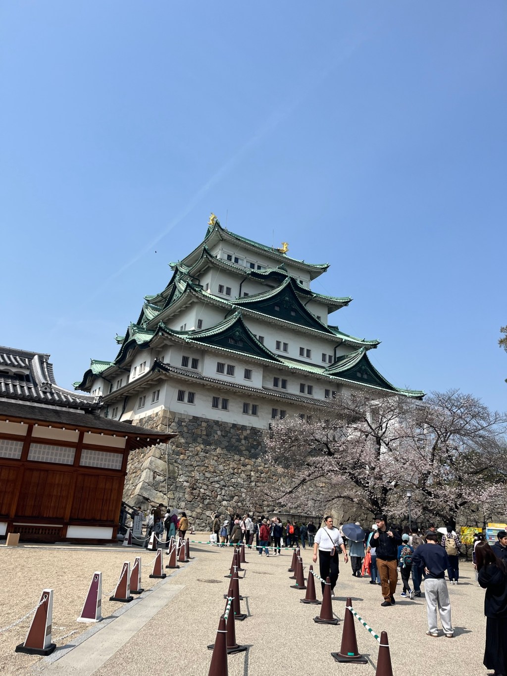 Castles and Cherry Blossoms, Festival Season In Japan: Travel Goals&nbsp;Japan